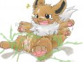 toon_1237763584639_23809_-_Eevee_Pokemon.jpg